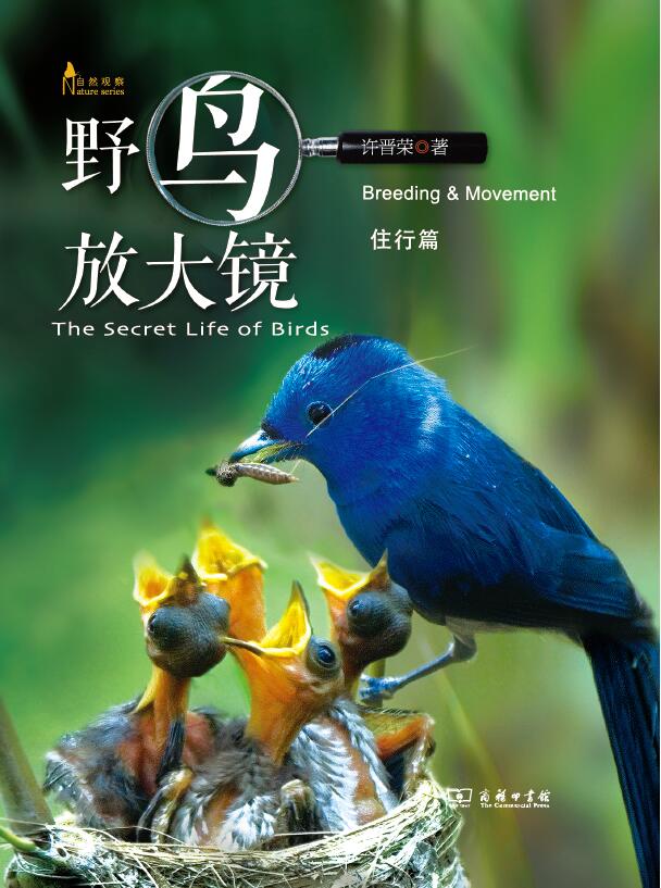 野鸟放大镜(住行篇)/自然观察