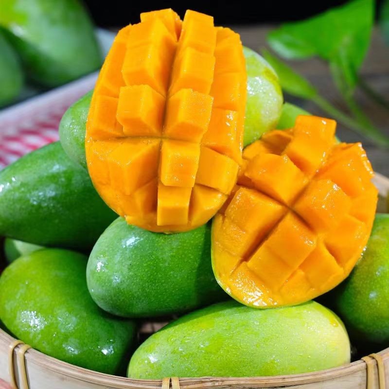 张小壮 金煌芒 大青芒 海南金煌芒青芒  新鲜水果产地直发 4.