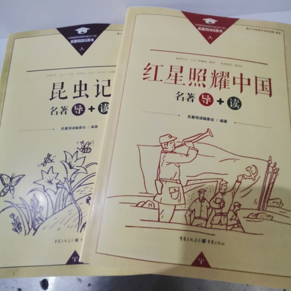 【名著导+读】【修订版】西游记朝花夕拾骆