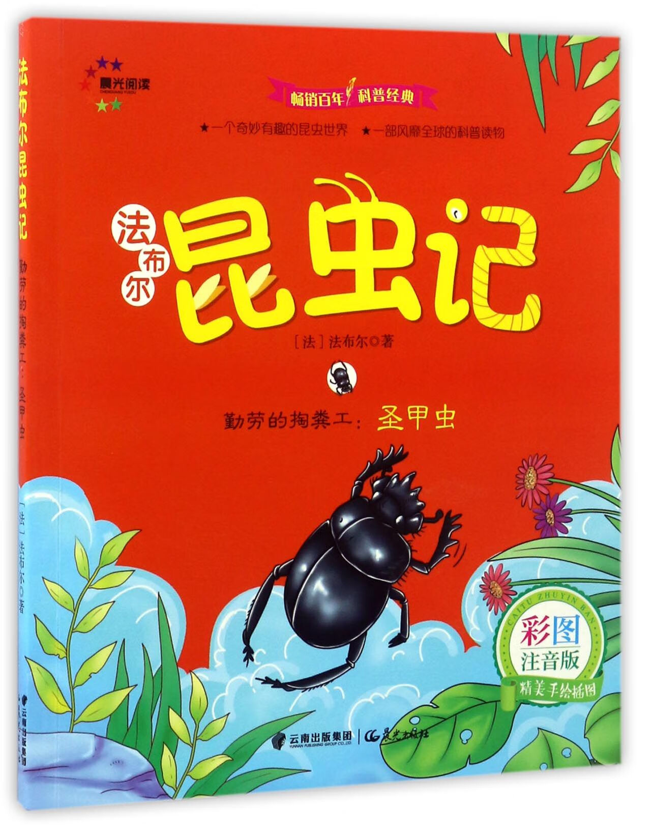 勤劳的掏粪工 圣甲虫(彩图注音版) 法布尔昆虫记【正版图书,放心购买
