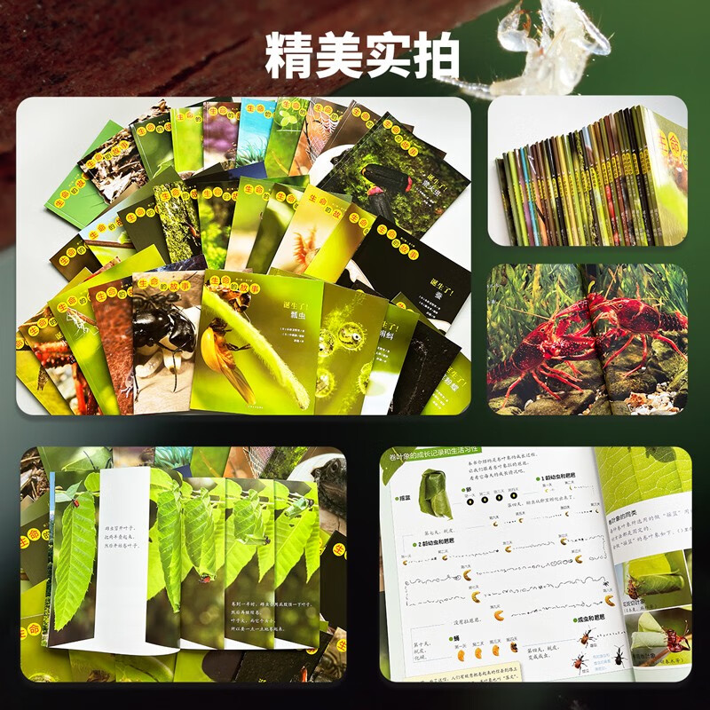 生命的故事（共30册）1-3辑（3-6岁儿童科普绘本昆虫动物百科全书用实拍大图记录生命的成长过程果壳、无穷小亮推荐）新老版本随机发货(中国环境标志绿色印刷)详情图