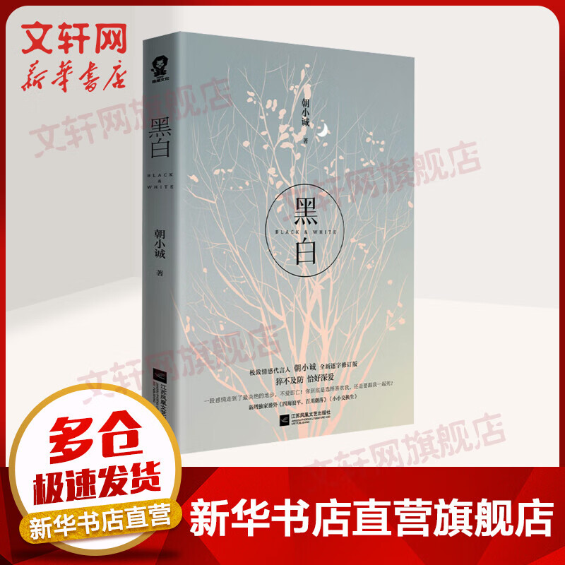 【新版】黑白小说 朝小诚 图书