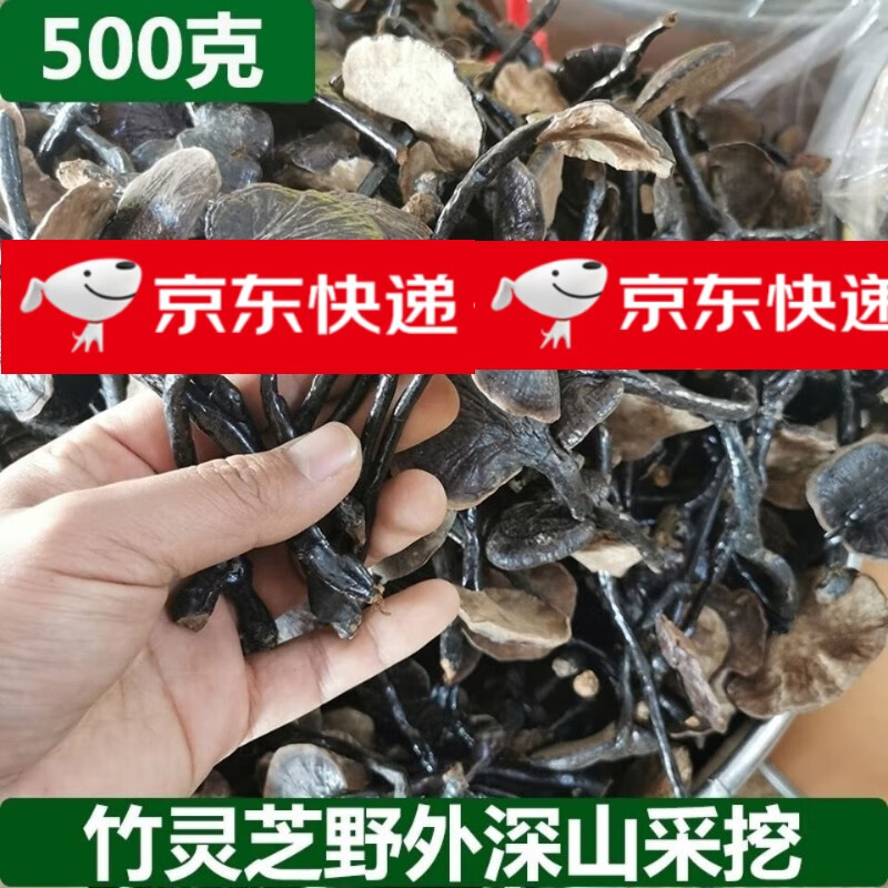 有仁堂【野生竹靈芝】海南長頸靈芝:野生靈芝小靈芝整支煲湯煮水:泡酒料 100g