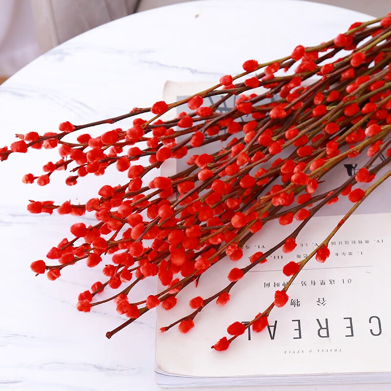 红色银柳(不含瓶) 60cm高10支