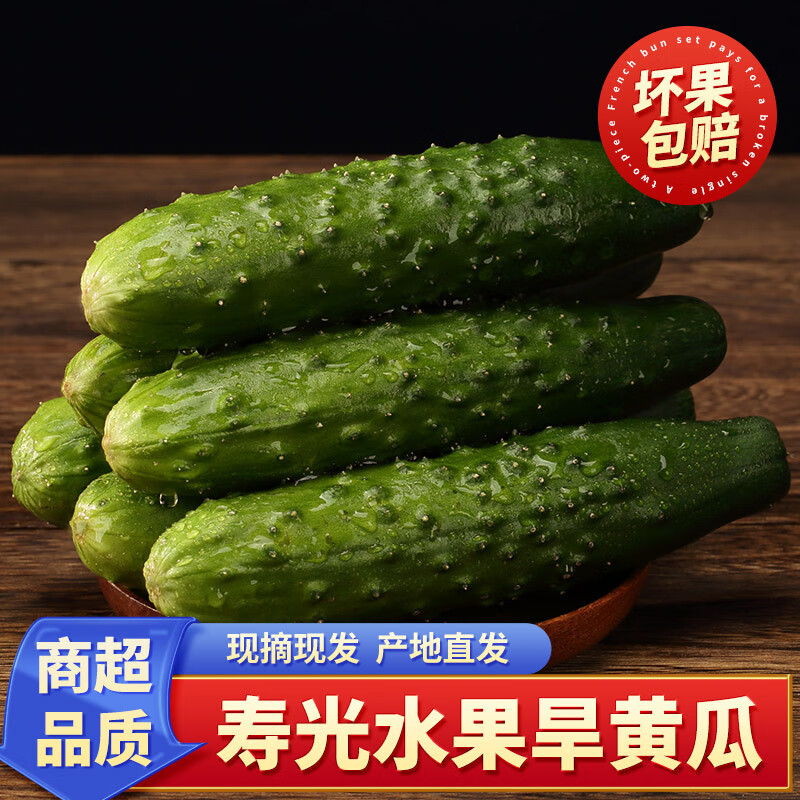 泽华果品  山东旱黄瓜 净重4.5斤 