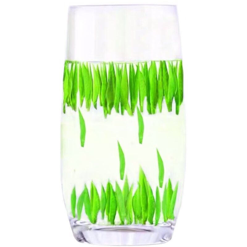 辣铺乐峨眉山茗茶翠芽一级毛尖新绿茶清香竹叶银针青茶叶散装500g