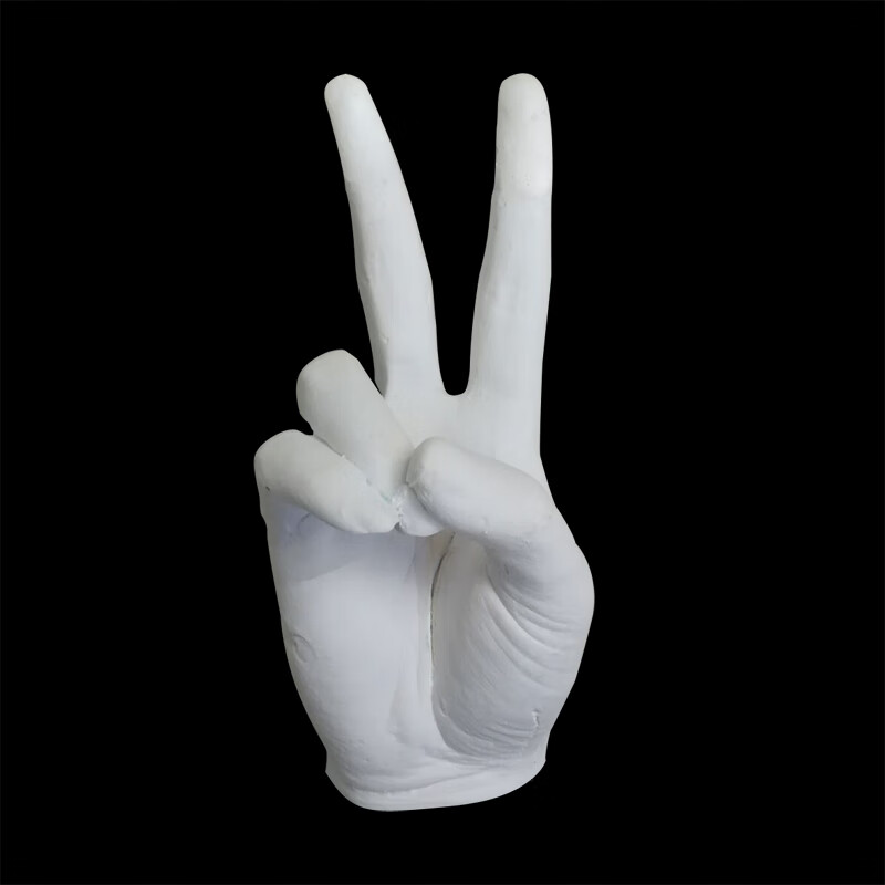 rsrddy手模石膏 大号石膏手模diy手膜型石膏3d模型摆件克隆粉石膏粉