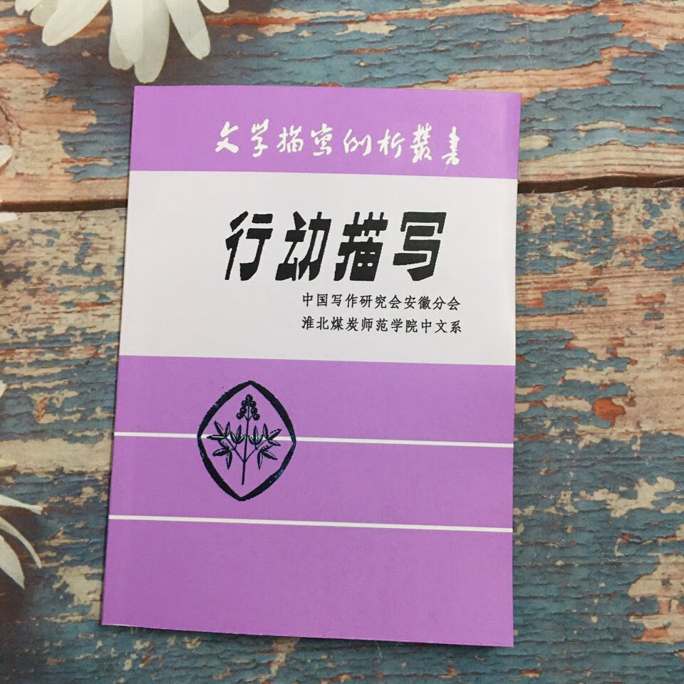 行动描写 文学描写例析丛书