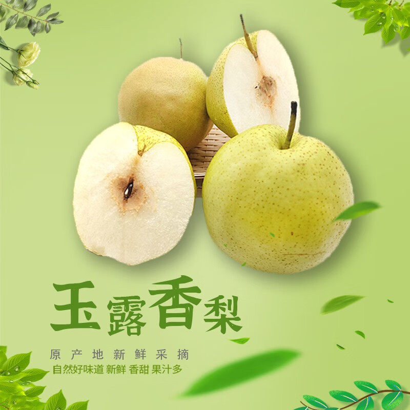 中荔 山西精选新鲜玉露香梨脆甜多汁当季应季水果送礼佳品(5斤9斤) 5