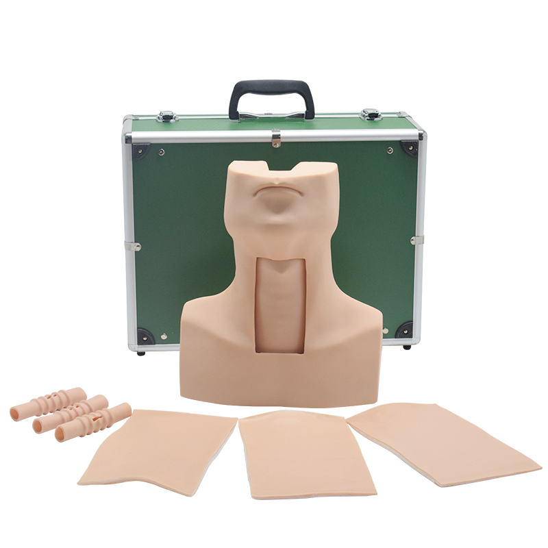 环甲膜穿刺及气管切开插管训练模型