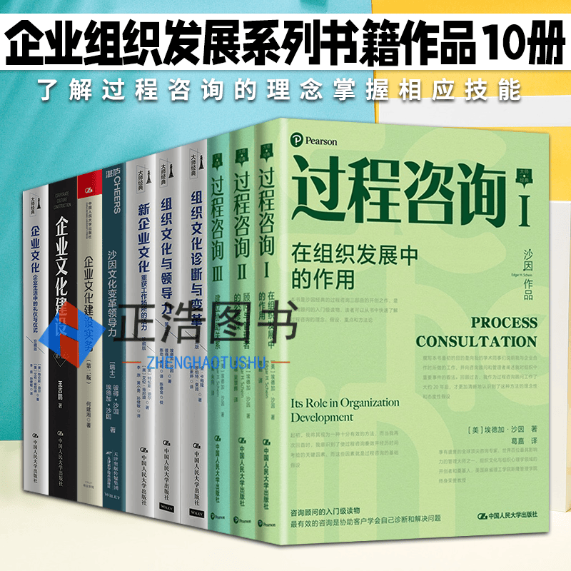 企业组织文化管理10册：过程咨询+组织文化与领导力+企业文化建设+组织文化变革 沙因作品 企业管理书正版图书