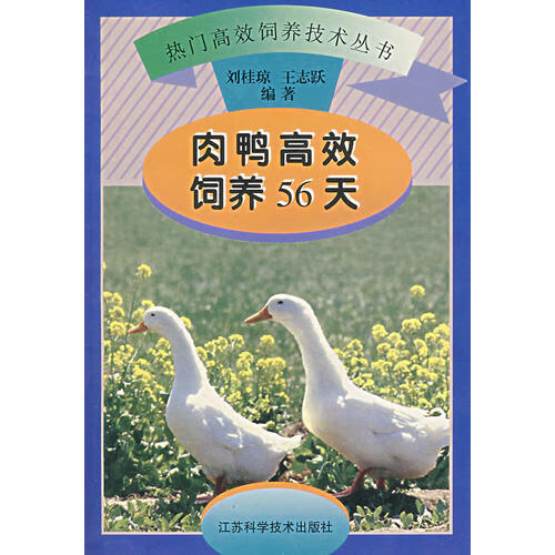 肉鸭高效饲养56天