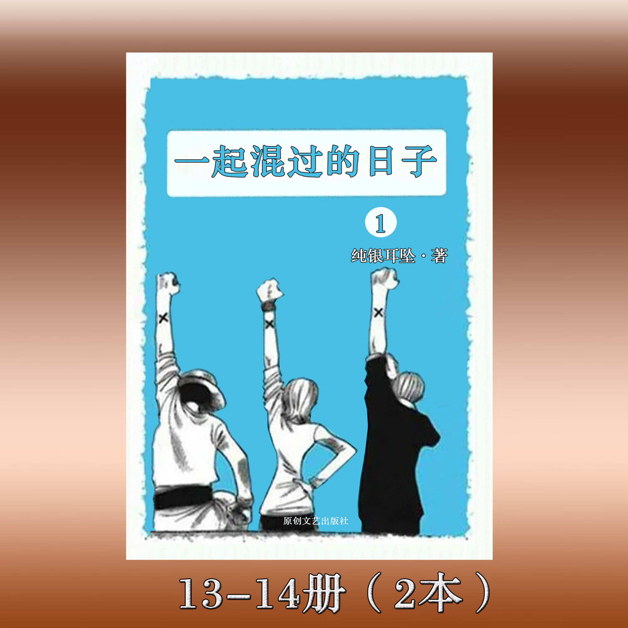 《一起混过的日子》纯银耳坠著 全集14本套装 实体小说完结无删减 13-14册（2本）