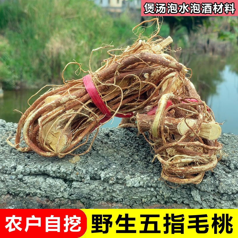 广东野生五指毛桃 整颗根切段 五爪龙牛奶根食材牛大力土茯苓干货 3斤