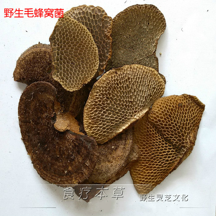 广东本地货 野生毛蜂窝菌蜂窝灵芝龙眼梳野生龙眼菌 250克  250克
