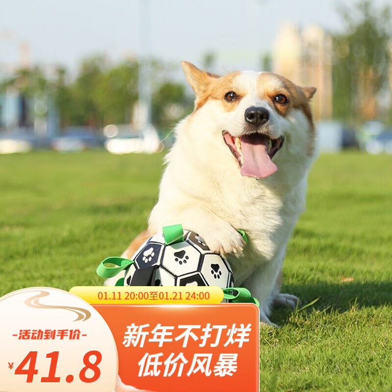 看狗玩具历史价格网站|狗玩具价格历史