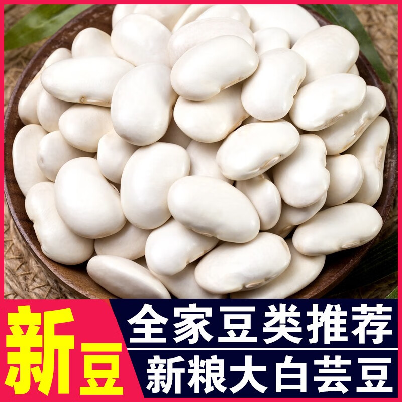 呆呆菇娘 大白芸豆500g 新货大白芸豆大白豆白芸豆雪豆大四季豆五谷杂粮粗粮健身餐代餐食品白腰豆菜豆