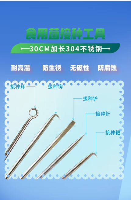 实验食用菌组培接种工具环钩铲针耙304不锈钢耐高温腐蚀不生锈 接种钩