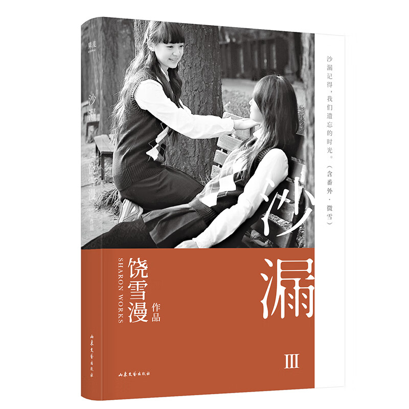沙漏3 饶雪漫 长篇小说 言情 十七岁 青春疼痛 成长 果麦图书