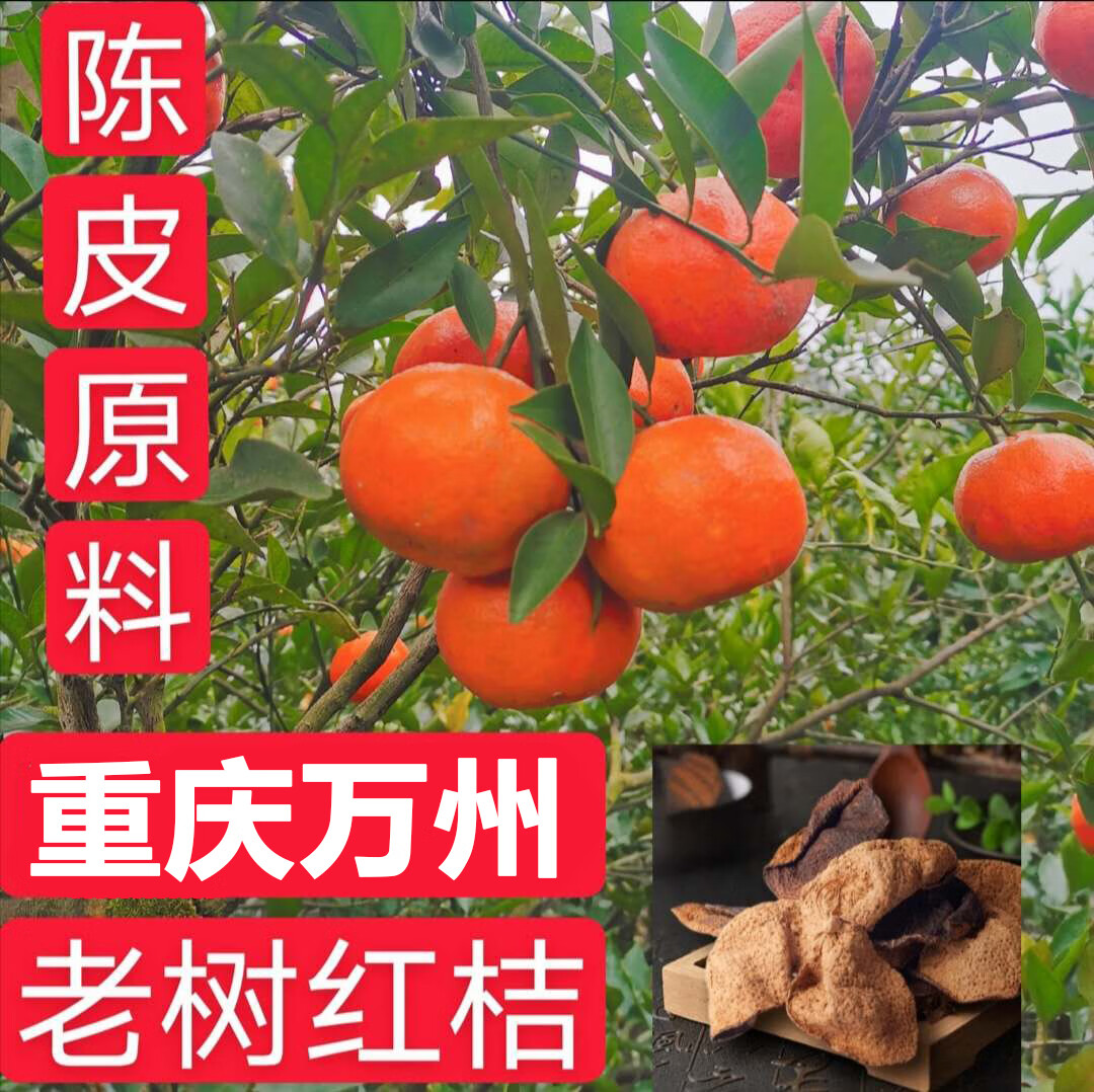森菓山【顺丰】重庆万州红橘 大红袍橘子万州古红桔川桔子陈皮新 5斤