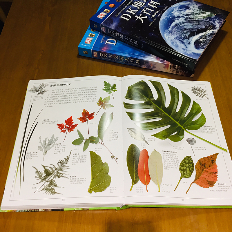 DK生物大百科(修订版)小猛犸童书(精装)暑假阅读暑假课外书课外暑假自主阅读暑期假期读物详情图