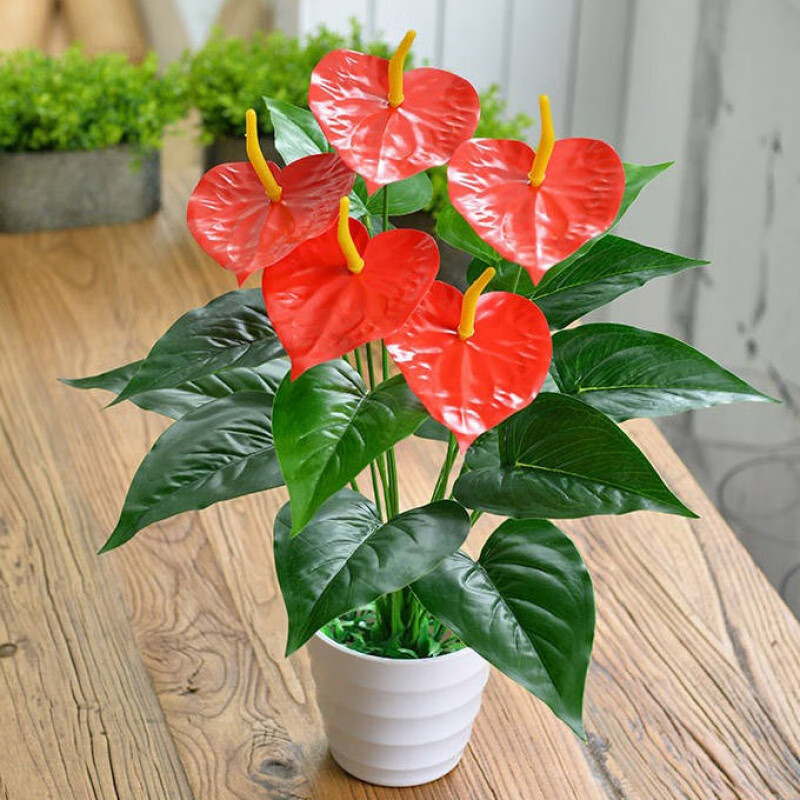 仿真绿植红掌假花塑料花植物盆景室内外装饰落地摆放花艺 1支红掌