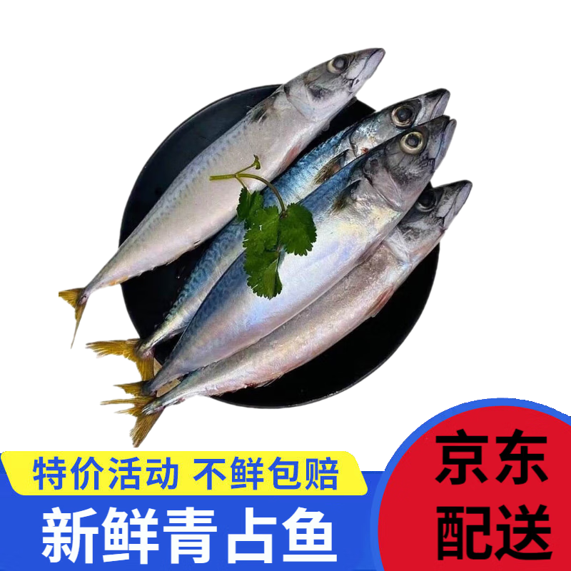 鲭鱼 相关京东优惠商品排行榜 4 价格图片品牌优惠券 虎窝购