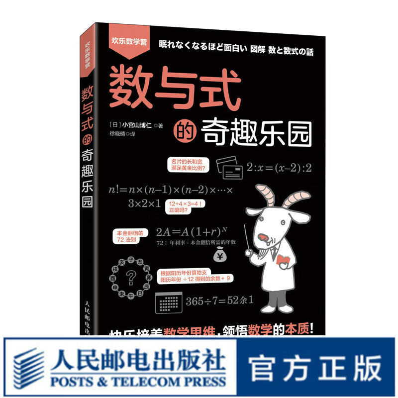 【现货】数与式的奇趣乐园 初中小学高年级五六年级趣味数学书思维逻辑训练 学习数学重难点本质