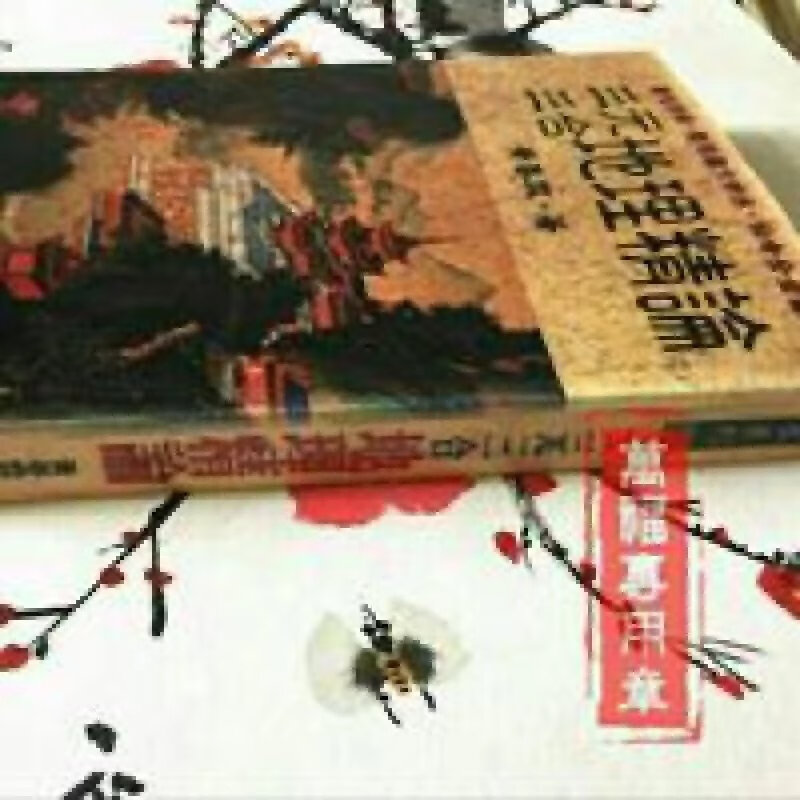 天机上人 黄春霖 三元三合地理精论 37