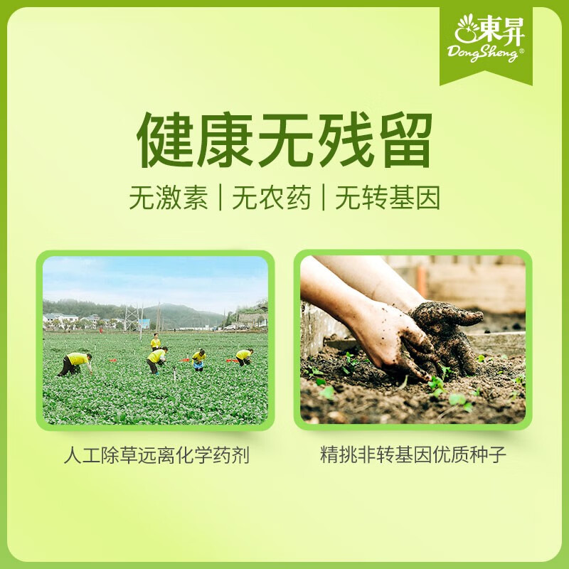 東昇有机蔬菜3斤 新鲜农场蔬果家庭套餐顺丰配送 1500g