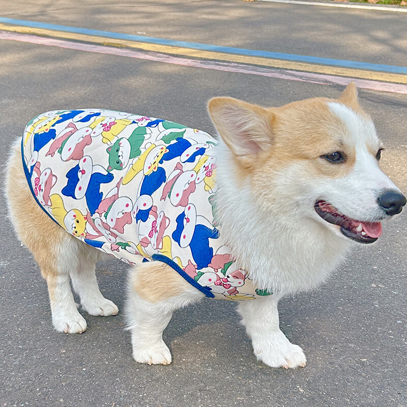 绿野客小型犬衣服背心泰迪比熊柯基柴犬狗狗衣服2023新款秋冬天保暖宠