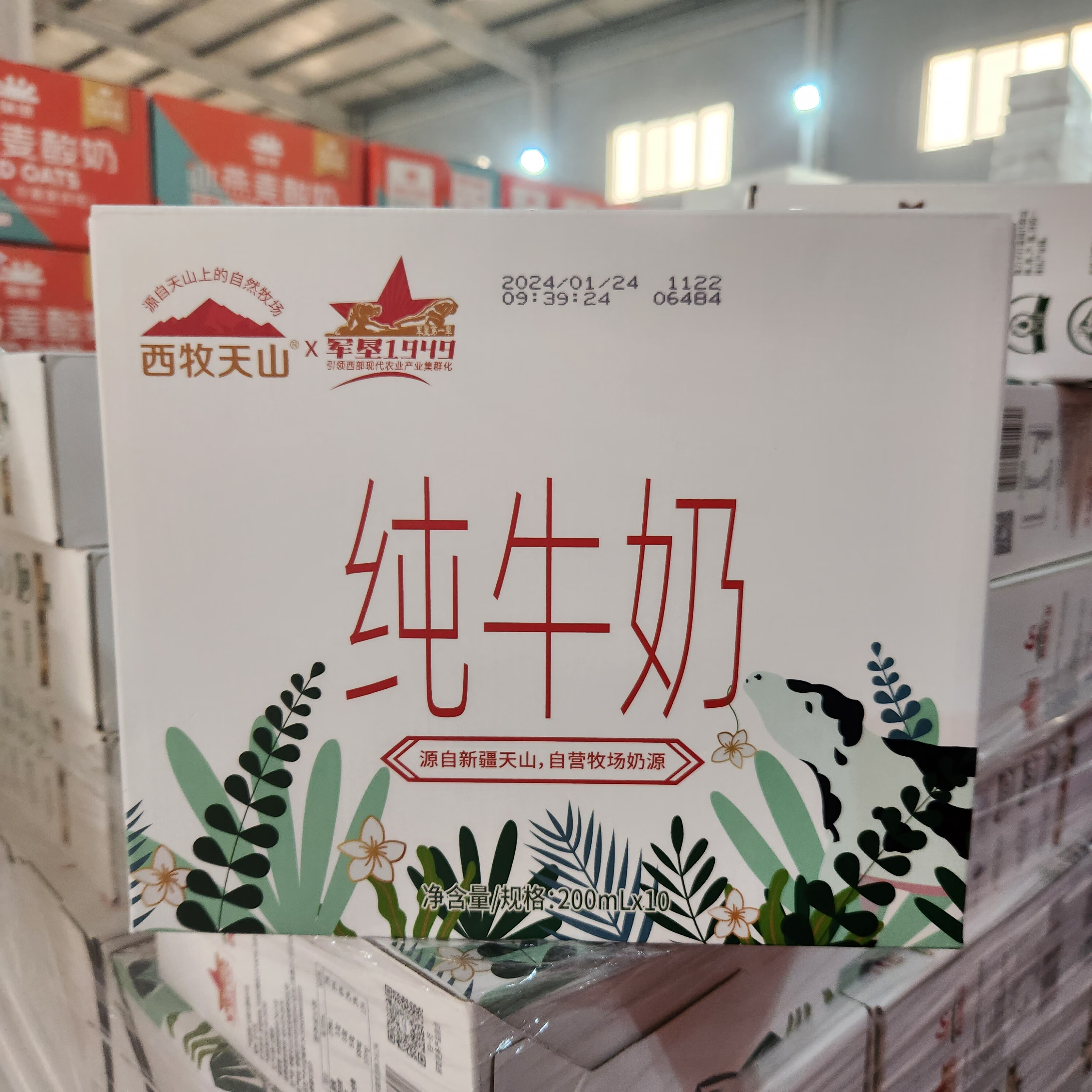 西牧天山新疆纯牛奶200ml*20盒军垦西部牧业学生营养早餐奶 军垦1 0盒