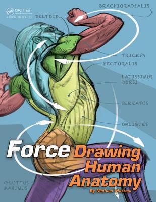预订 FORCE: Drawing Human Anatomy