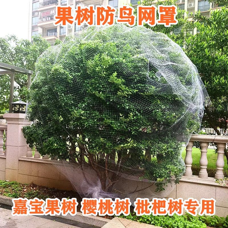 妍塵果園防鳥網(wǎng)罩果園防護(hù)尼龍網(wǎng)梨樹葡萄嘉寶果樹大棚果園用網(wǎng)農(nóng)用網(wǎng) 3米X3米【加粗耐用】1米高樹用