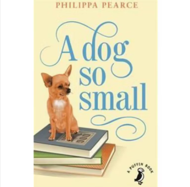 A Dog So Small 这么小的狗 青少年读特 10岁以上