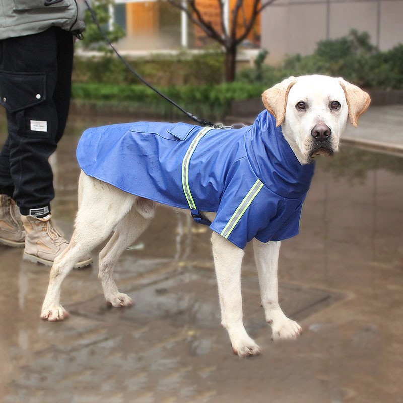 SLPC狗狗雨衣大型犬防水大狗雨披夏季拉布拉多金毛中型犬宠物雨衣 蓝色 3XL:28-48斤