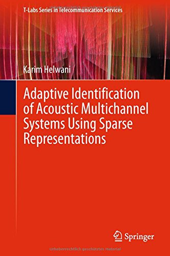 预订 adaptive identification of acoustic multichannel systems