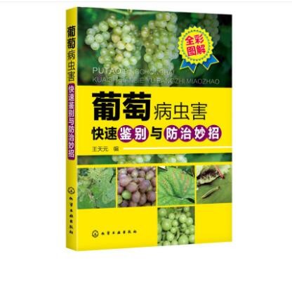 葡萄病虫害快速鉴别与防治妙招 王天元 编