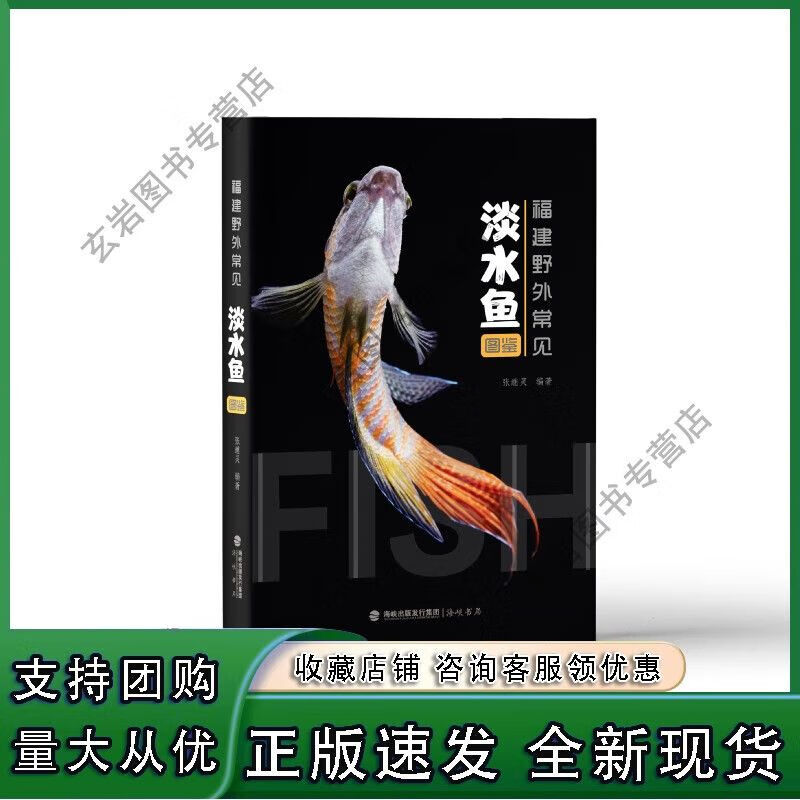 正版n不支持无理由退货福建野外常见淡水鱼图鉴 活体