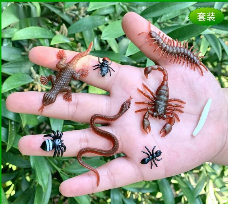 众舰行迷你蛇蜘蛛蚂蚁苍蝇蝎子幼儿园儿童玩具静态昆虫动物模型摆件 8只小昆虫套装