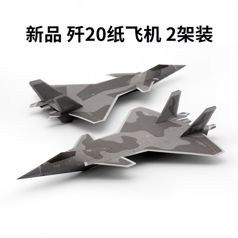 昕妞刘冬纸飞机歼20 15 11 10飞鲨f16苏27抛战斗机纸模 歼-20威龙(2架