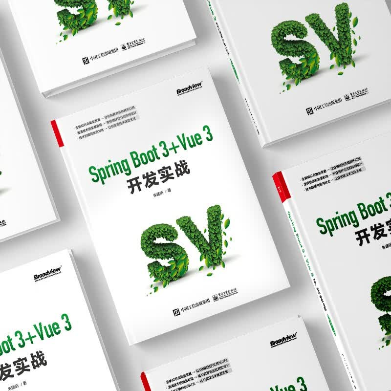 Spring Boot 3 +Vue 3开发实战详情图