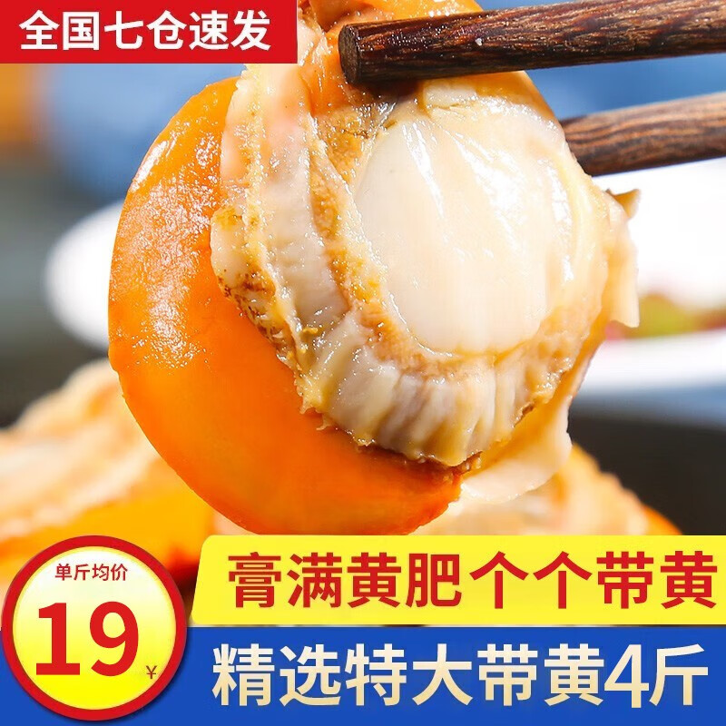 贝类历史价格最低点|贝类价格走势