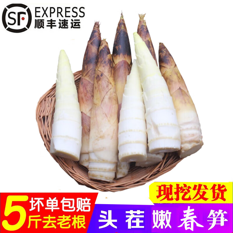 【順豐】新鮮春筍 天目山黃泥毛筍冬筍 新鮮當(dāng)季蔬菜 【春筍5斤】大果