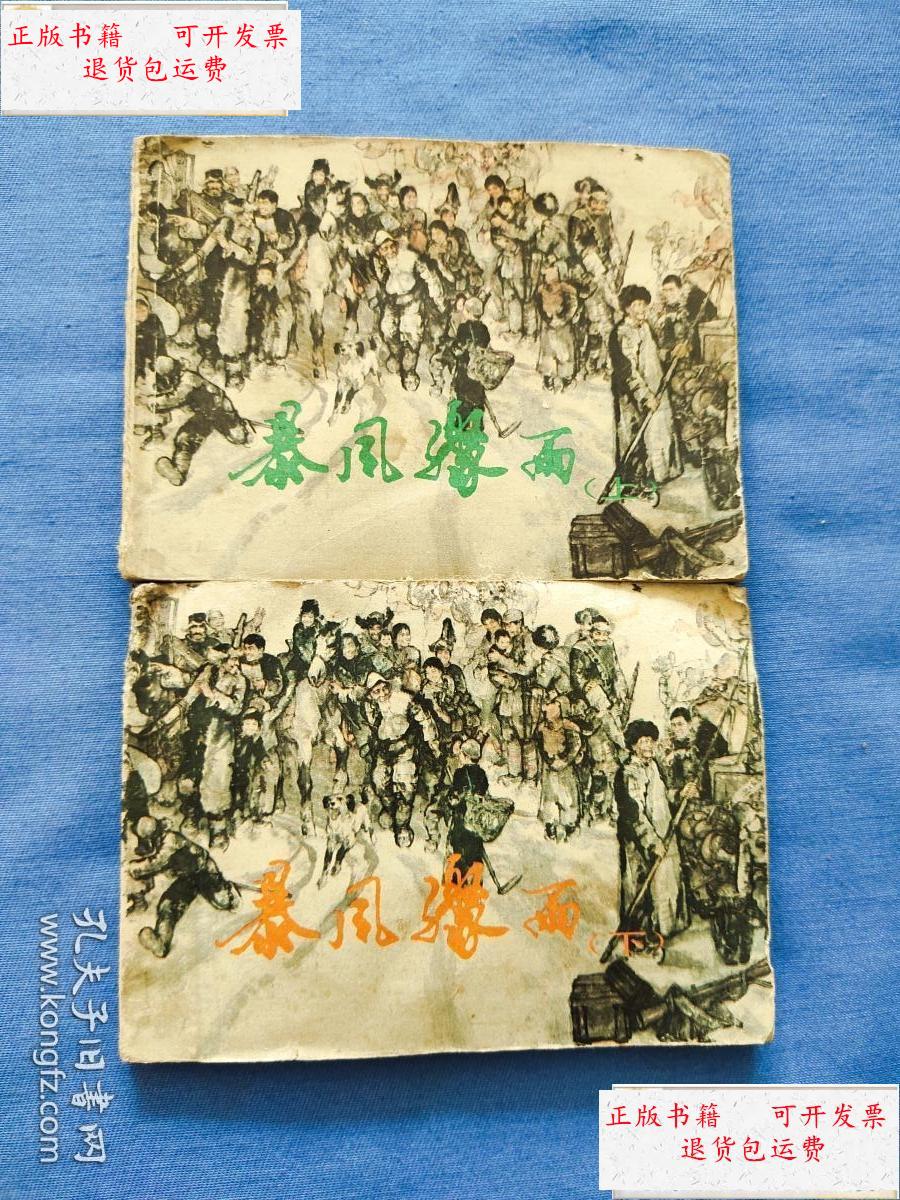 【二手9成新】暴风骤雨(上下) 下册书边有少许水印 /施大畏 上海人民