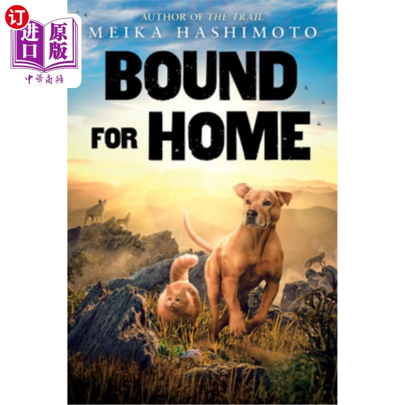 海外直订bound for home 开往回家的