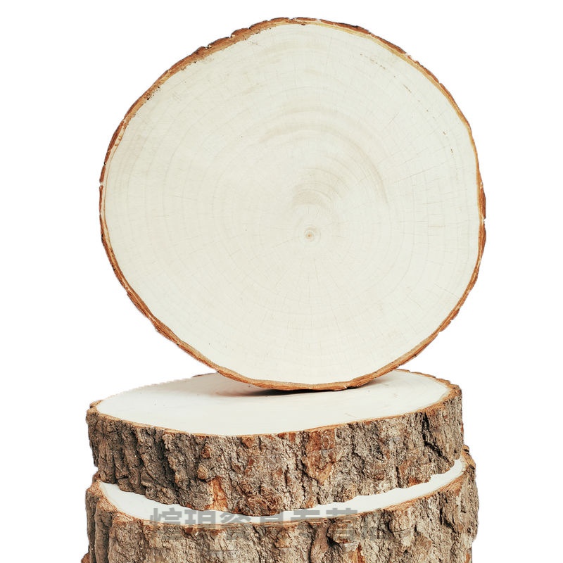 南州白泉银杏木砧板 银杏砧板 邳州银杏木菜板实木砧板白果木菜墩切