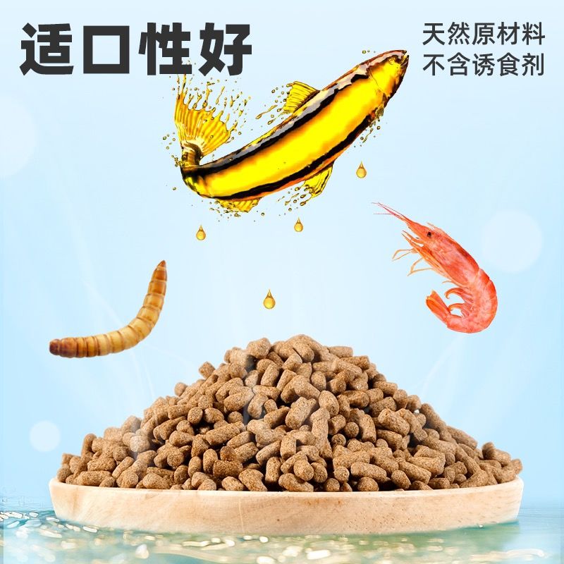 鹦鹉鱼饲料专用鱼食银龙鱼红龙鱼鱼粮地图鱼 龙鱼饲料100克【试吃装】