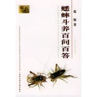 蟋蟀斗养百问百答【放心选购】