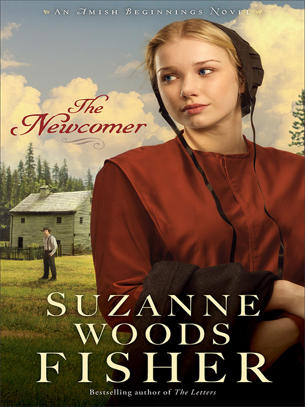newcomer (amish beginnings book #2)